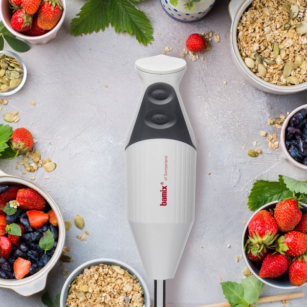 bamix スティックブレンダー グレー Bamix SwissLine Immersion Blender 200W Light Grey -